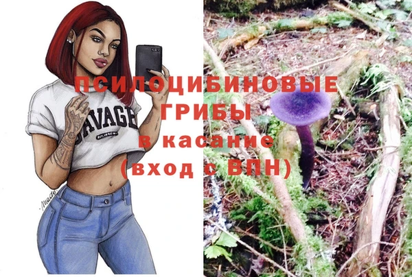 метадон Зеленодольск