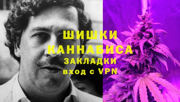 метадон Зеленодольск
