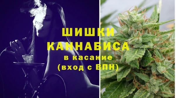 дживик Зерноград