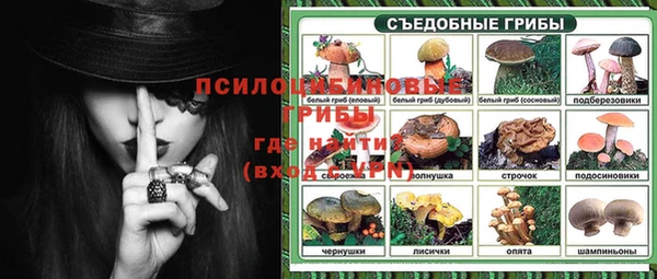 метадон Зеленодольск