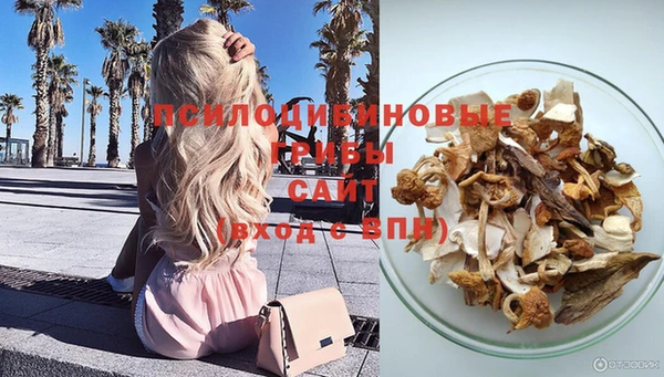 дживик Зерноград