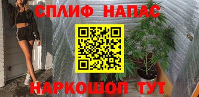 гидра Гагарин