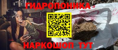 гидра Гагарин