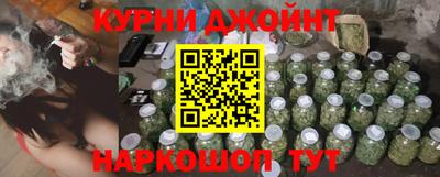 гидра Гагарин