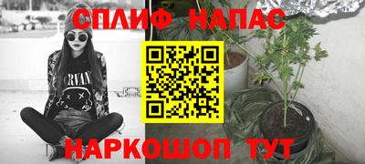 гидра Гагарин
