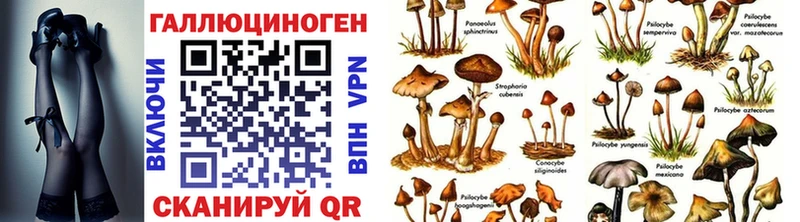 Псилоцибиновые грибы Psilocybine cubensis сколько стоит Заводоуковск